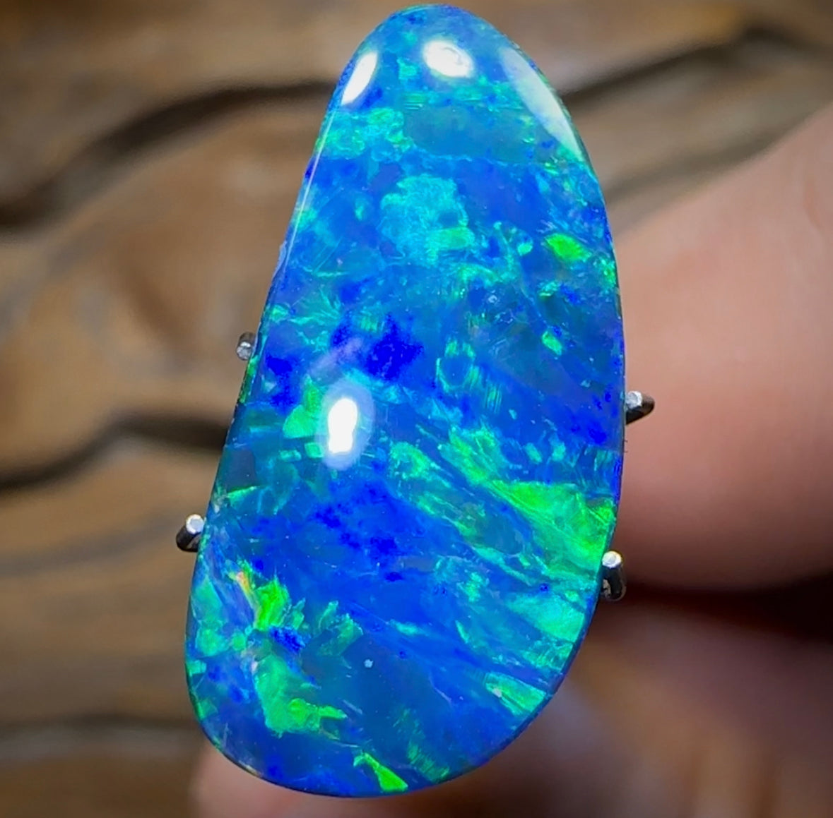 8.5cts - TOP Australian Boulder Opal Doublet - Opal Whisperers
