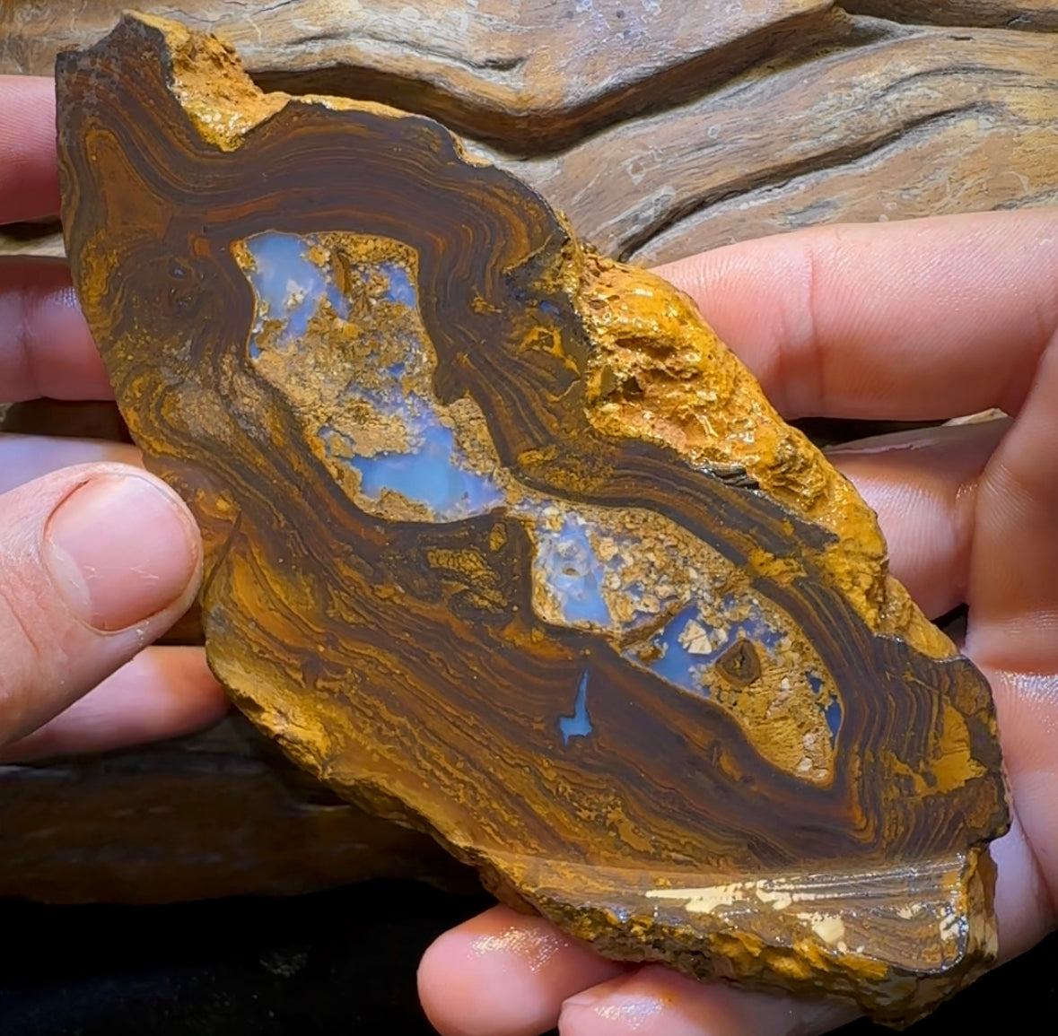 306.3g - Large Yowah Nut Opal Rough Slab - Opal Whisperers