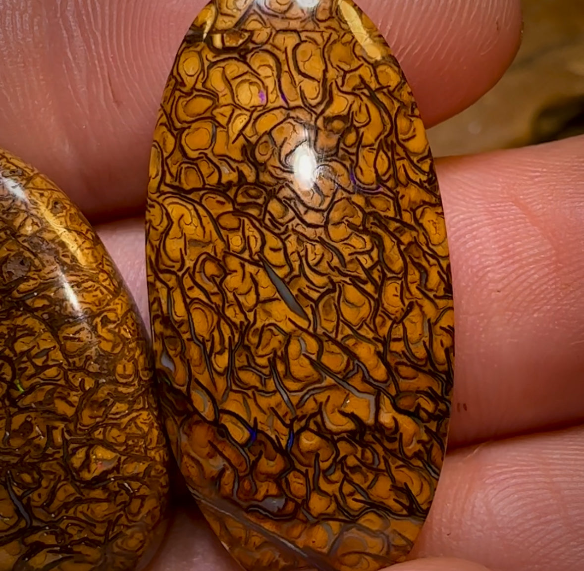 46.2cts - Loose Queensland Boulder Opal Set