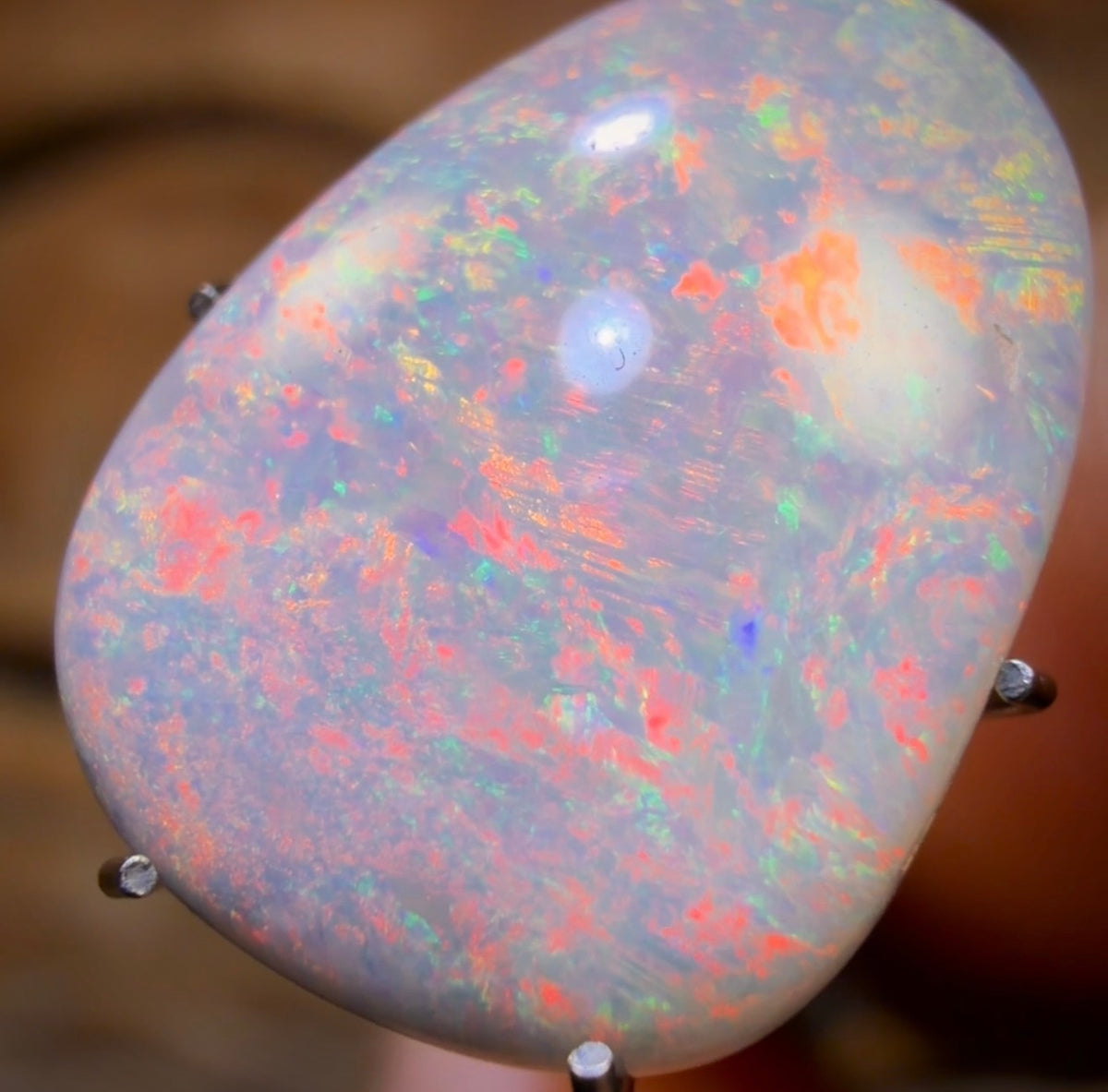 4.4cts - GEM South Australian Dark Opal from Coober Pedy