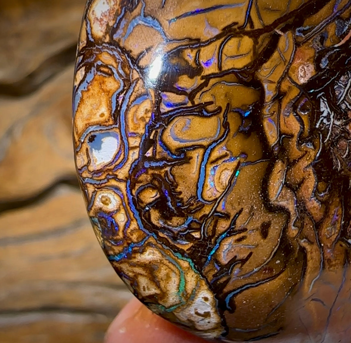 156.7cts - Large Yowah Nut Tribal Opal - Opal Whisperers