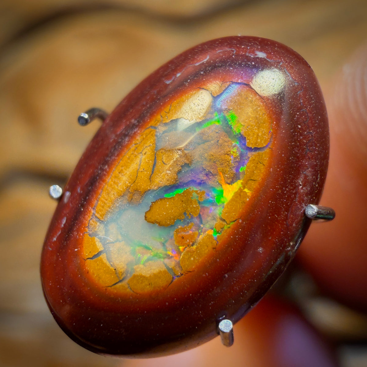 🔨 AUCTION 🔨 3.8cts - Yowah Nut Partial Crystal Centre Opal. Australian Boulder Opal