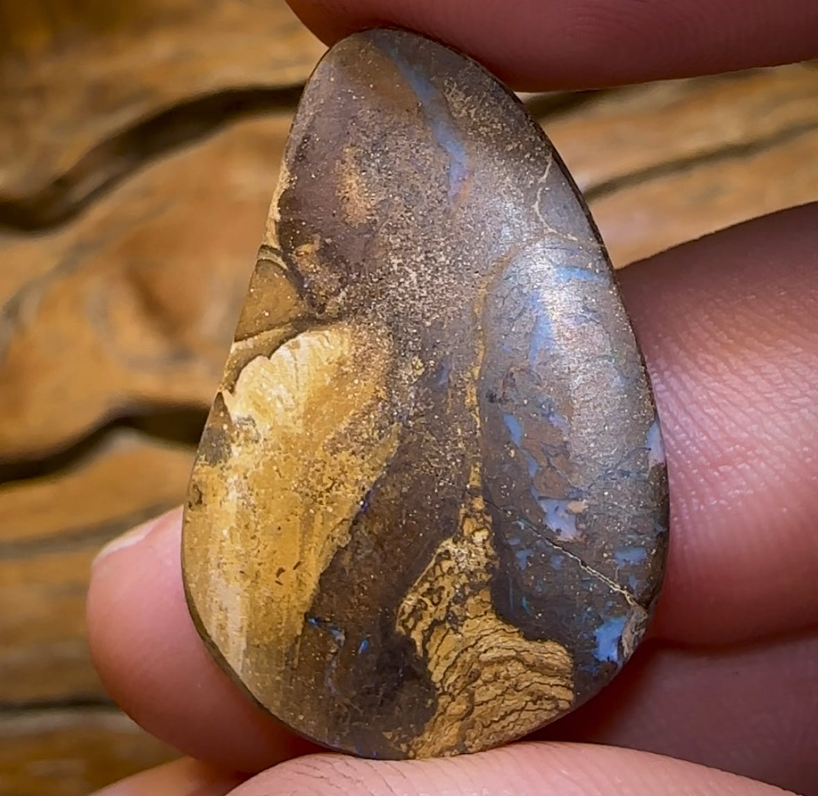 25.8cts - Bubble Band Opal. Australian Opal - Opal Whisperers