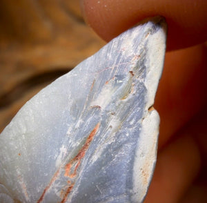 43cts - Opalised Shell Rare Geological Rough Specimen from Lightning Ridge