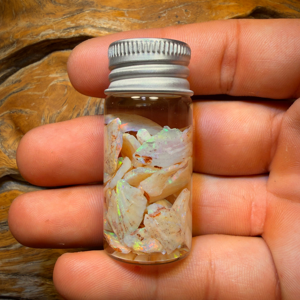 47cts - Vial of Shell Fossil Opal from South Australia