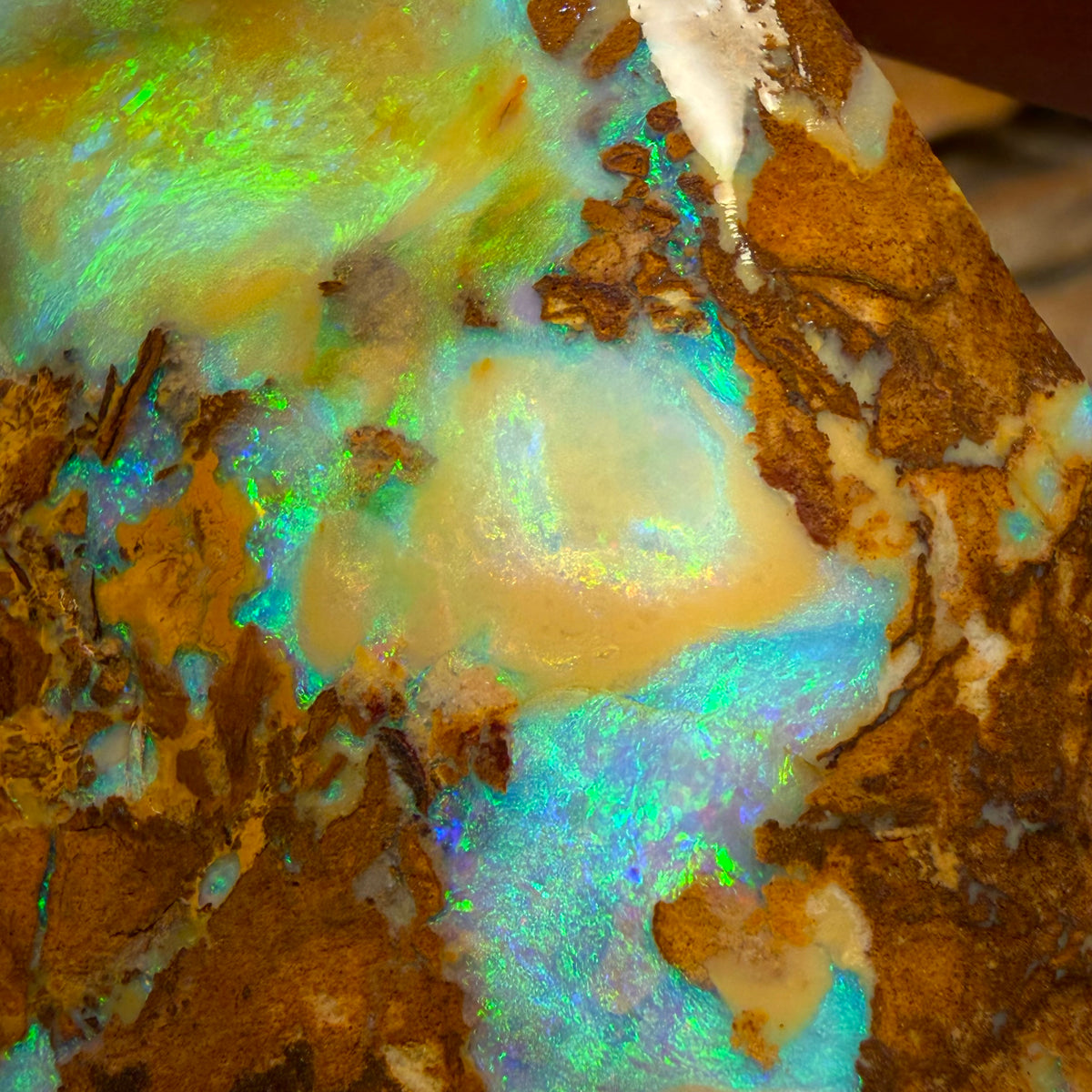 185.8cts - TOP Vegetation Fossil Replacement Boulder Opal Rub. Double Sided!
