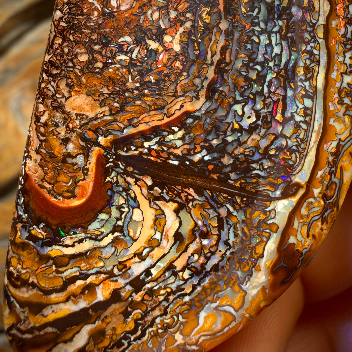 Art of Opal Card! 155cts - Large Tribal Queensland Boulder Opal from Yowah