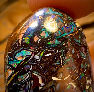 92.4cts - Top Tribal Koroit Nut Opal. Australian Opal
