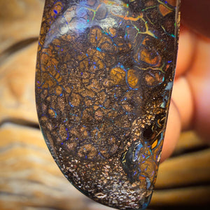 Wild Card! 35 x 15mm - Drilled Tribal Queensland Boulder Opal Necklace BARGAIN
