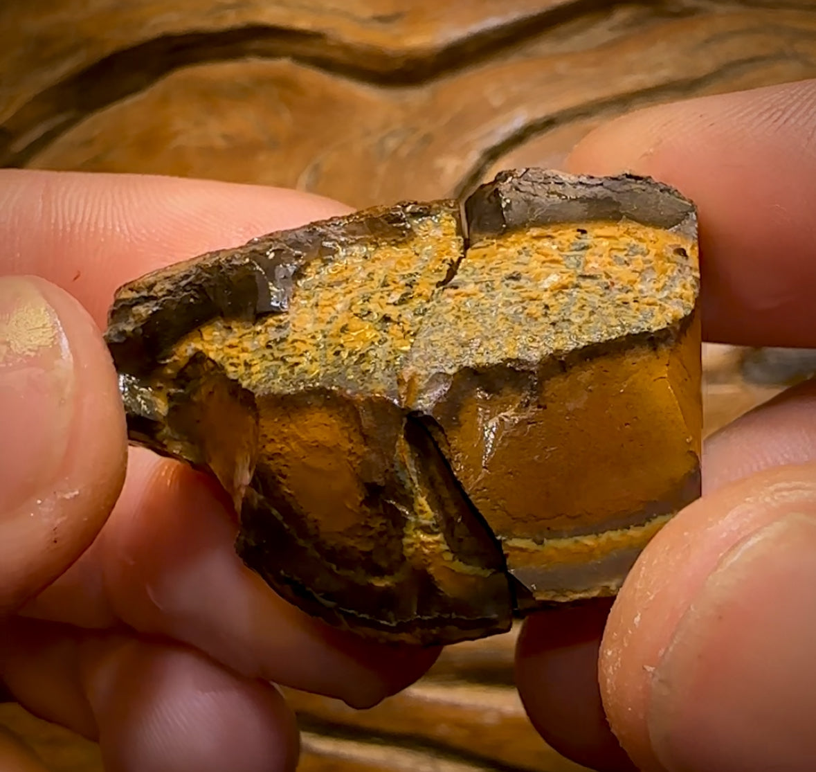 202.4cts - Big Yowah Nut Crystal Centre Rough Pair BARGAIN