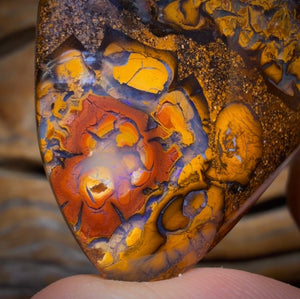 91.1cts - Tribal Eye1 Yowah Nut Opal. Australian Opal