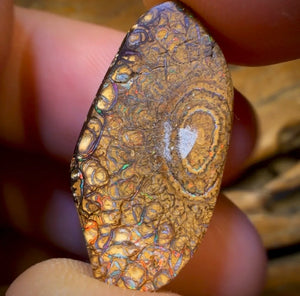 Wildcard! 13.3cts - Tan Tribal Australian Boulder Opal from Yowah