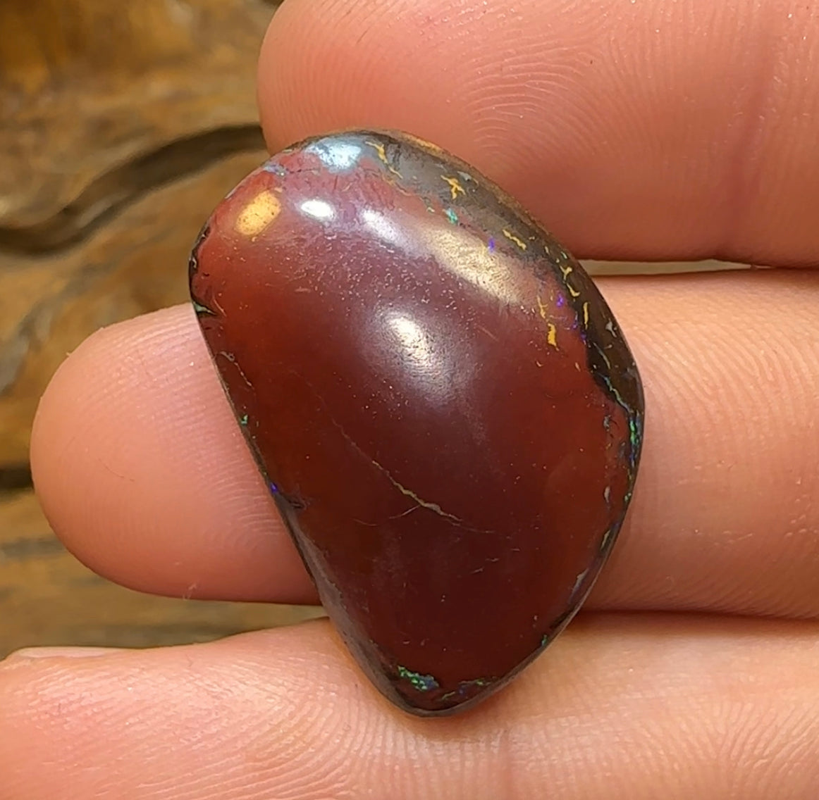 30.2cts - Queensland Boulder Australian Opal. - Opal Whisperers