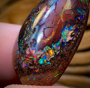 “Set in Stone” - Private Collector Investment - 31.2cts - “Celebrity Stone” TOP GEM Tribal Yowah Nut Opal MULTISIDED! Featured on “Outback Opal Hunters”!