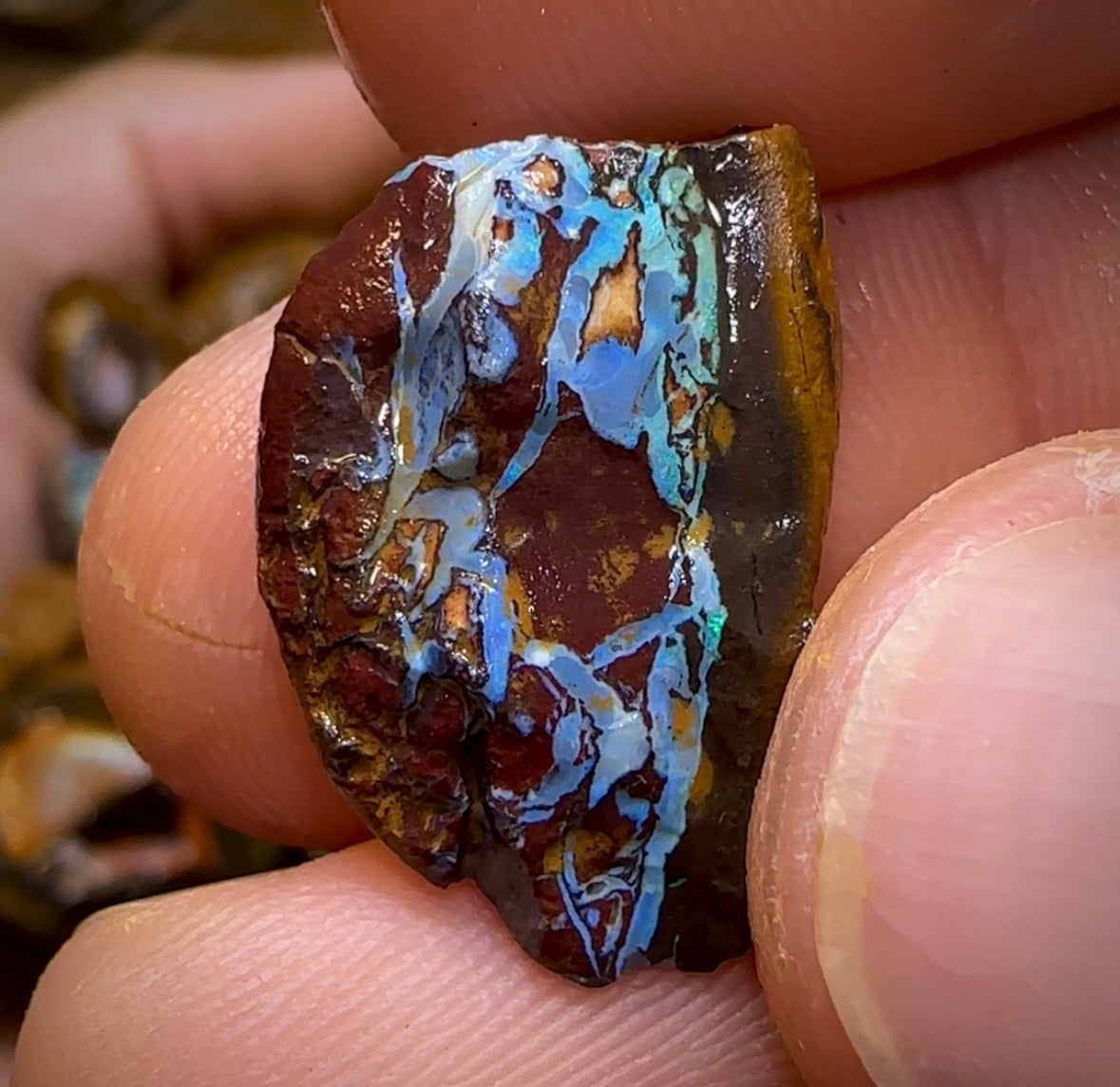 261.8g - 29x Yowah Nut Rough Pieces. Australian Opal With Kernel Crystal Centres. Less than $1/ct - Opal Whisperers