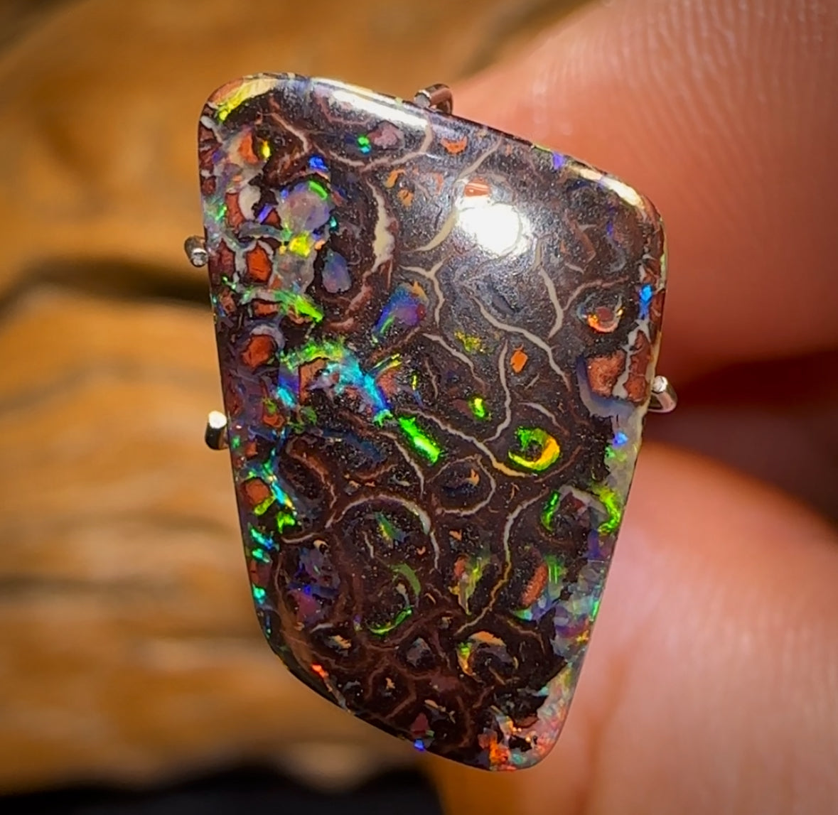 8.5cts - Tribal Australian Boulder Opal from Yowah Electric