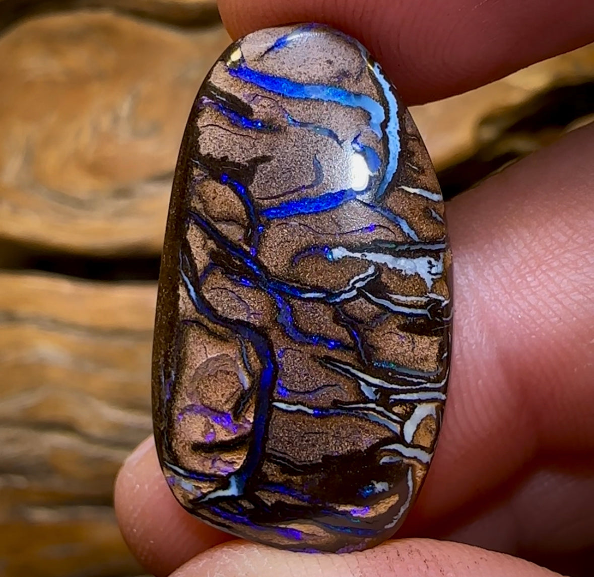27.1cts - Top Tribal Queensland Boulder Opal from Koroit