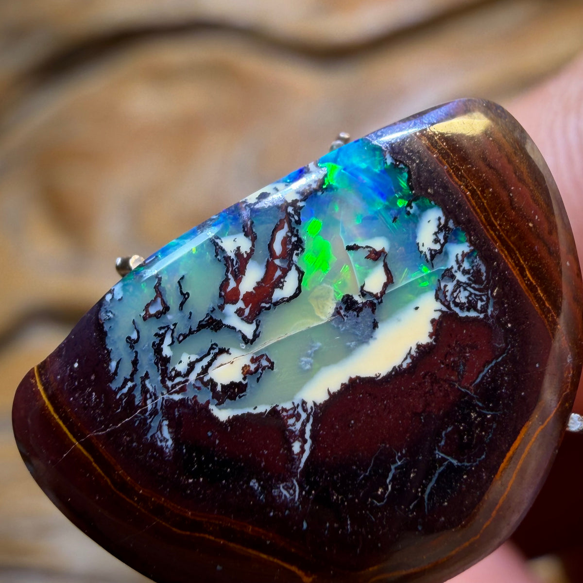 TGIF 8.8cts - Yowah Nut Partial Crystal Centre Opal. Australian Opal