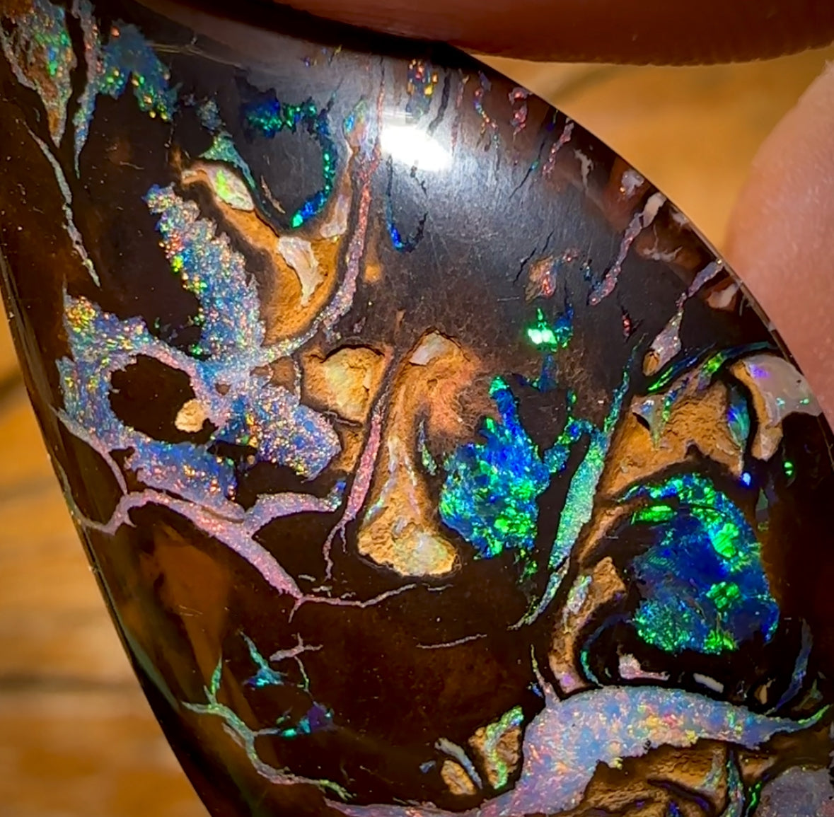 47.9cts - Rare Top Broad Tribal Yowah Nut Opal