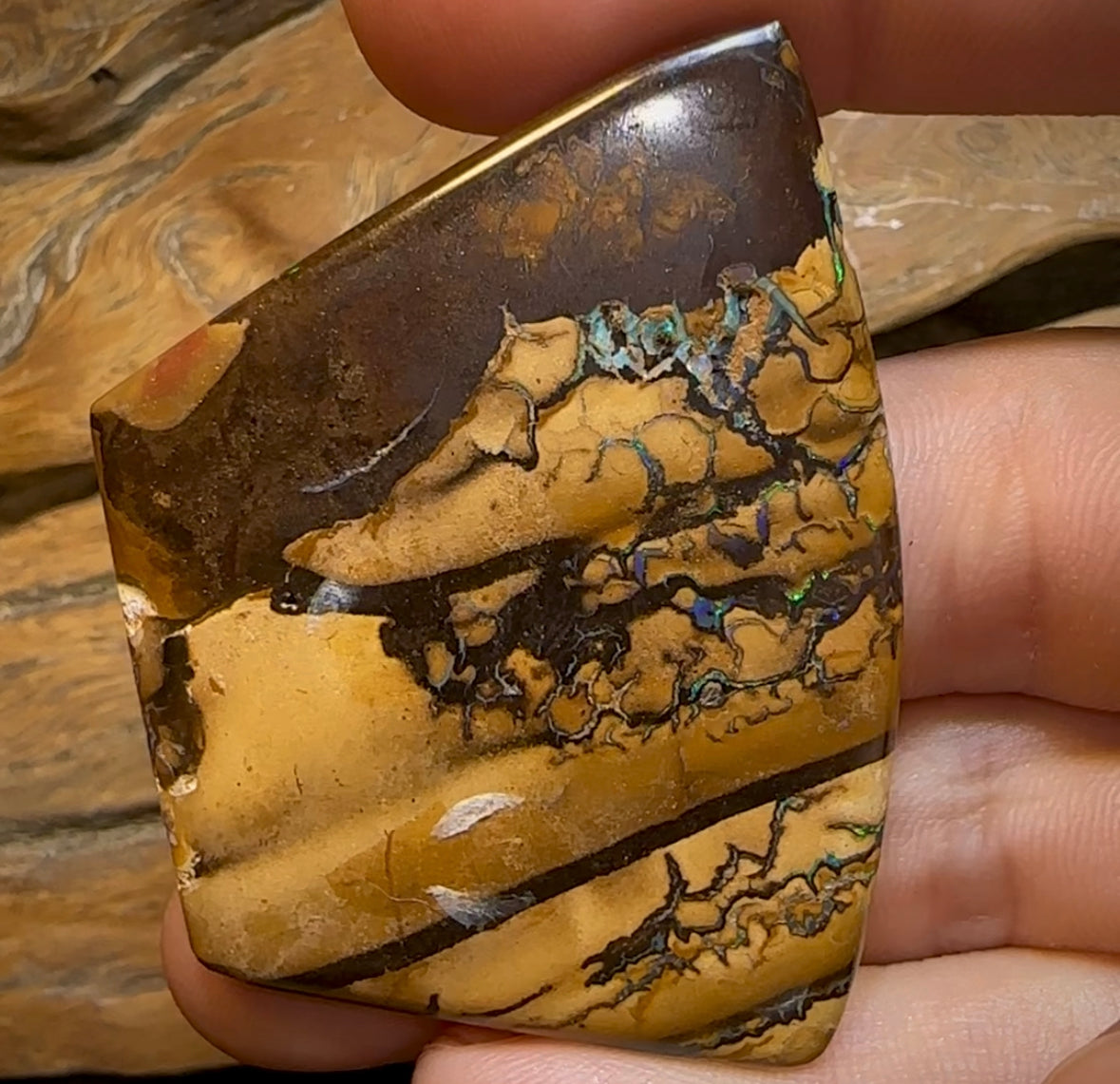 129.9cts - “Story Board”Landscape Pattern Yowah Nut Opal Specimen - Opal Whisperers