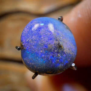 Roadshow Card 2.3cts - Queensland Boulder Seam Opal from Winton
