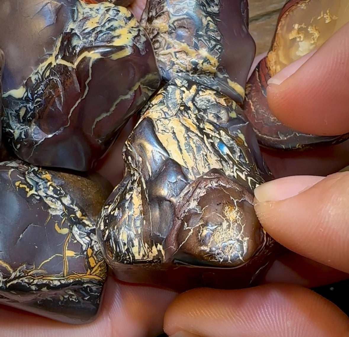 Large Queensland Boulder Opal Baroque Tribal Pattern Specimens - Opal Whisperers