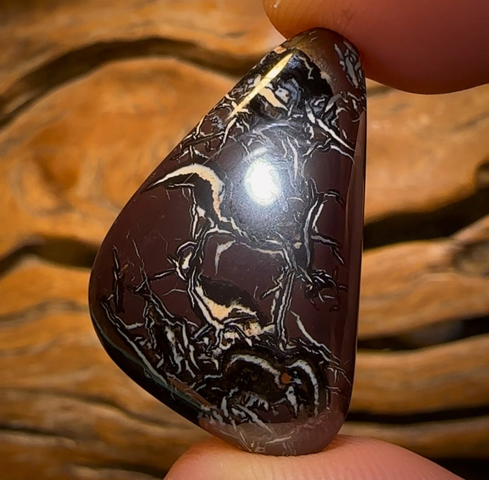 42,6 cts - Opale boulder du Queensland, provenant de Koroit