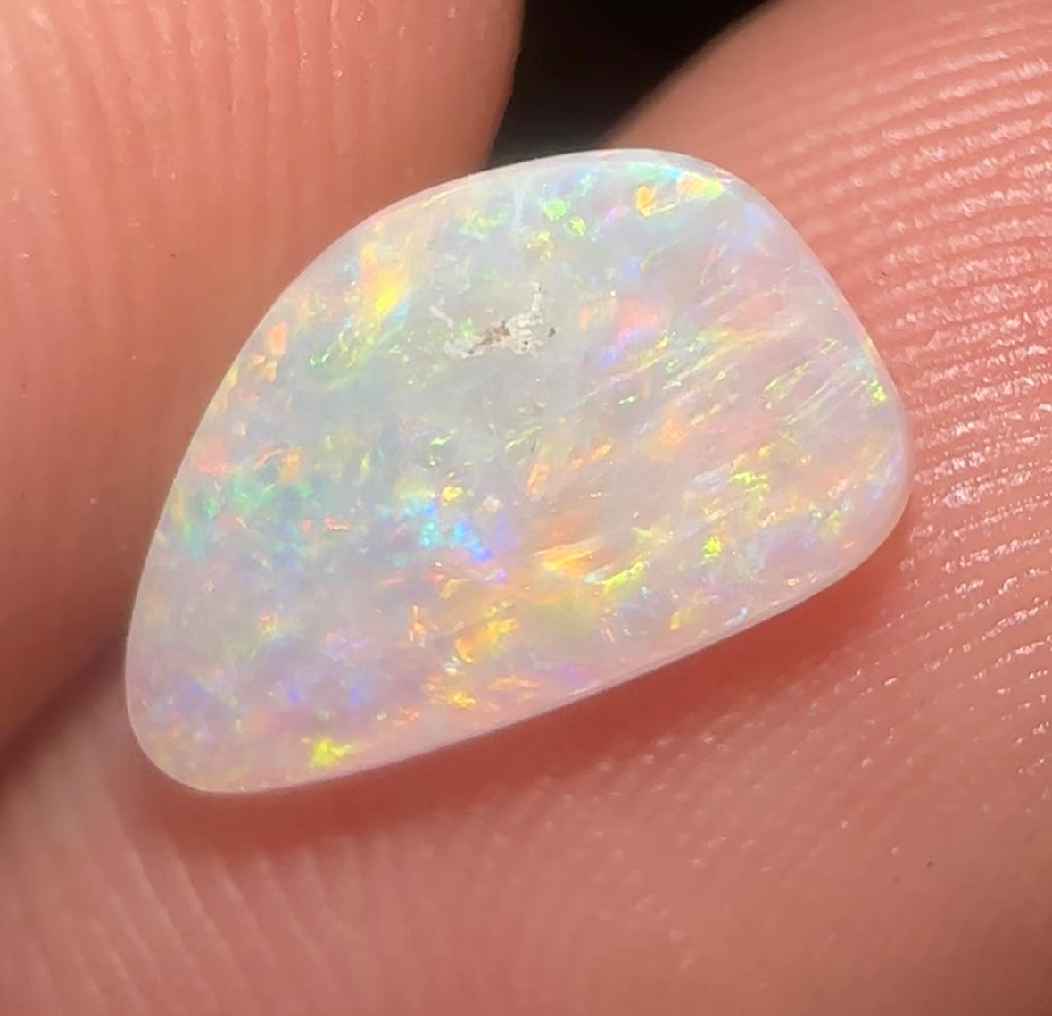 1.2cts - South Australian Crystal Opal. Fossilised Pippy Shell - Opal Whisperers