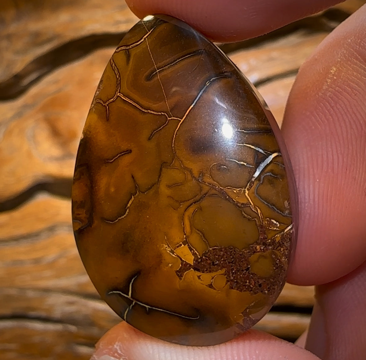 77.9cts - Queensland Boulder Opal BARGAIN