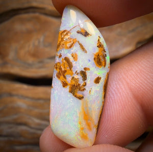 10.7cts - Yowah Nut Opal. Australian Opal