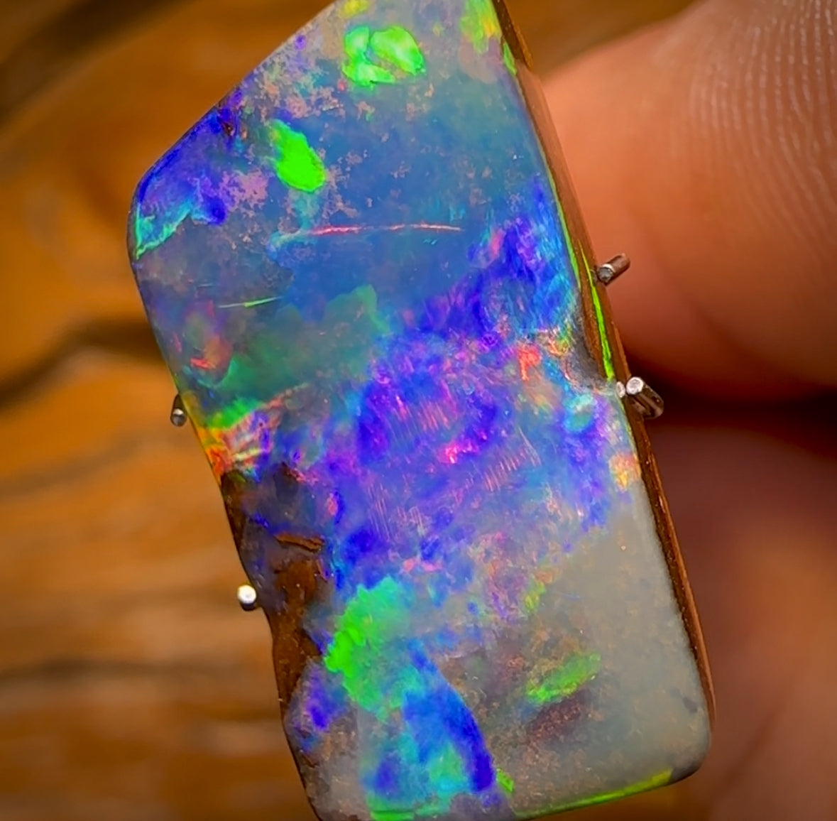 10.8cts - Super Stone Amazing ‘Concertina’ TOP GEM Yowah Nut Opal. Red Multicolours!!