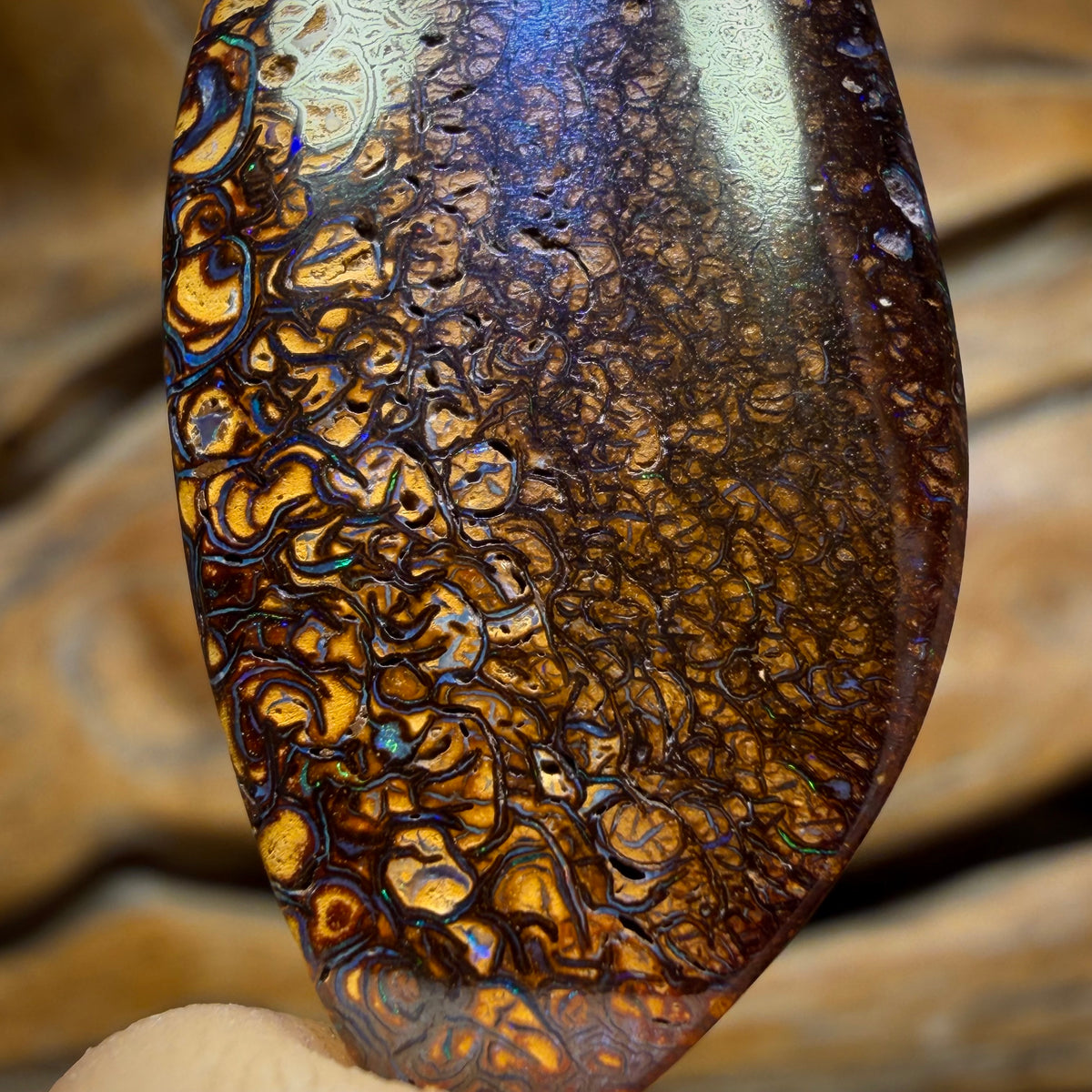 Wildcard! 40 x 17mm - Drilled Tribal Queensland Boulder Opal