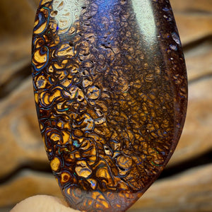 Wildcard! 40 x 17mm - Drilled Tribal Queensland Boulder Opal
