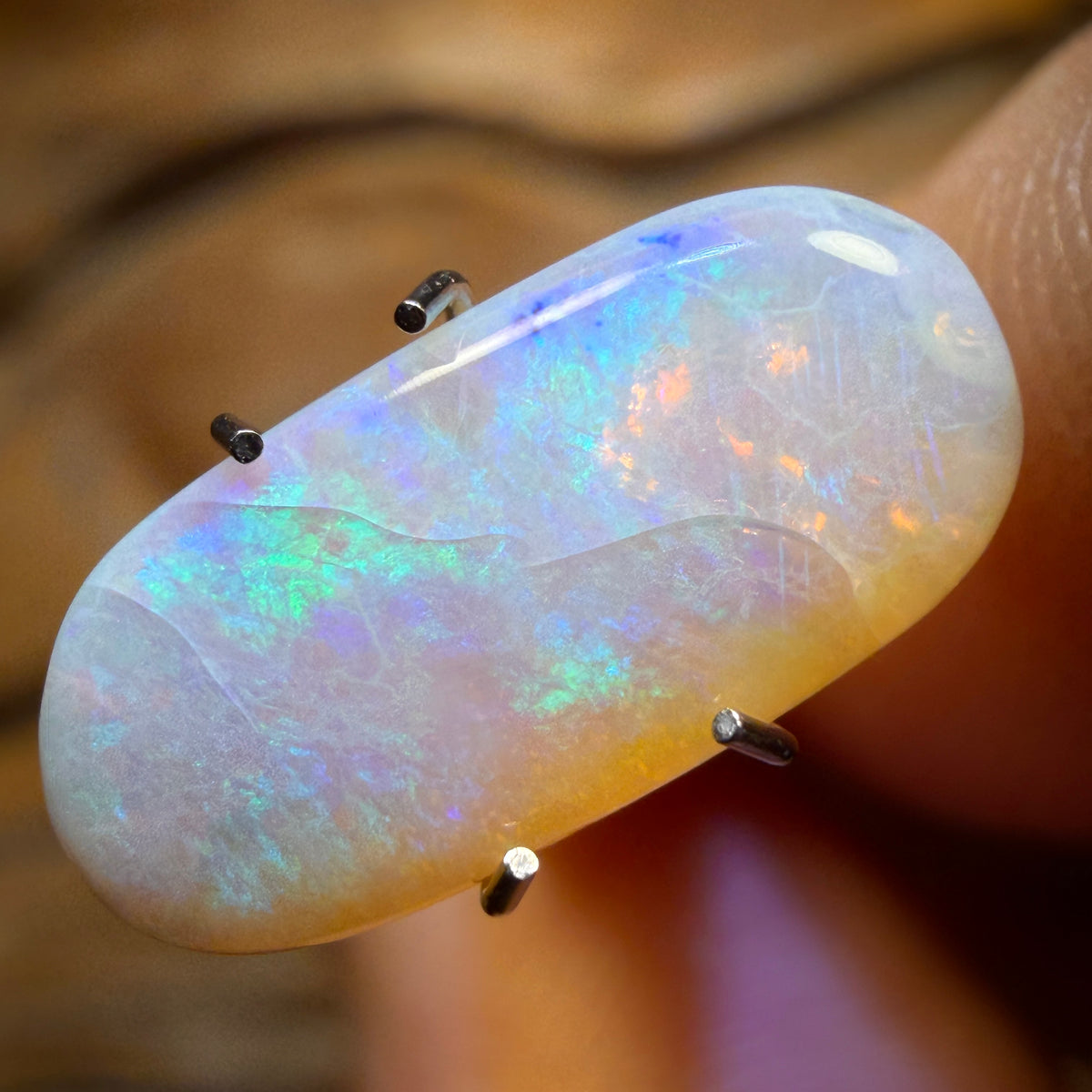 Wildcard! 1.9cts - South Australian White Opal from Mintabie