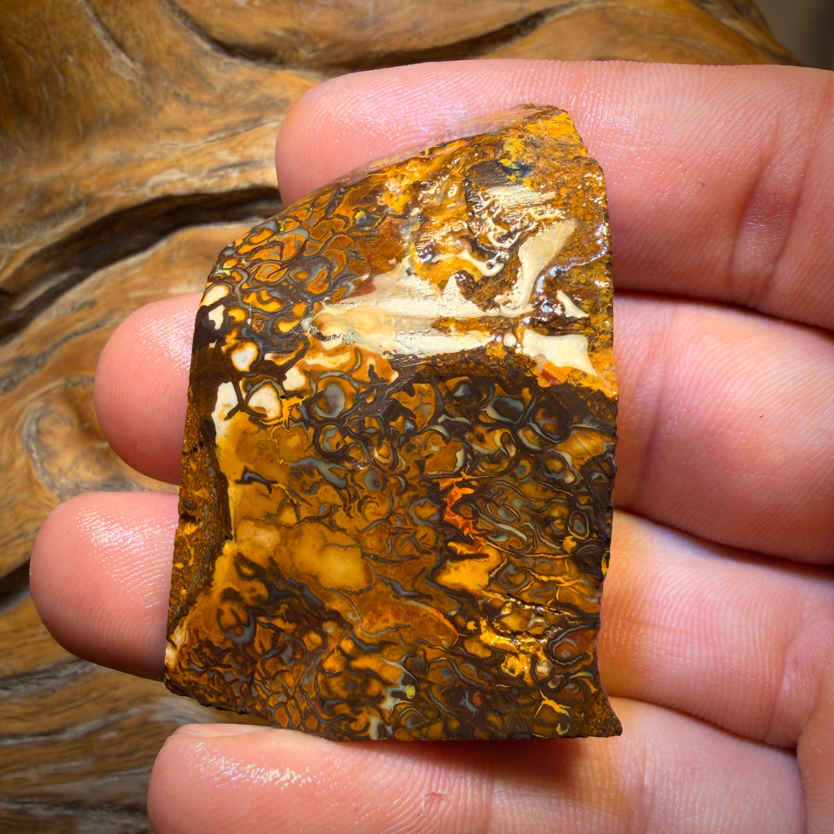 🔨 AUCTION 🔨 257.2cts - Tribal Yowah Nut Picture Stone Opal Rough Piece