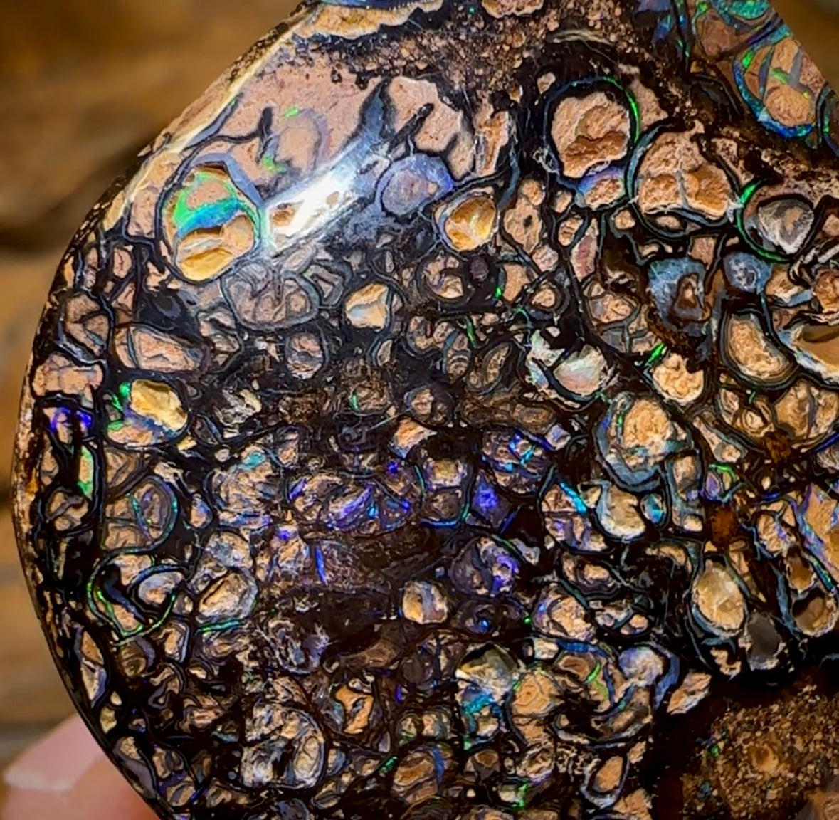 93.2cts - Yowah Nut Tribal Opal. Double Sided - Opal Whisperers