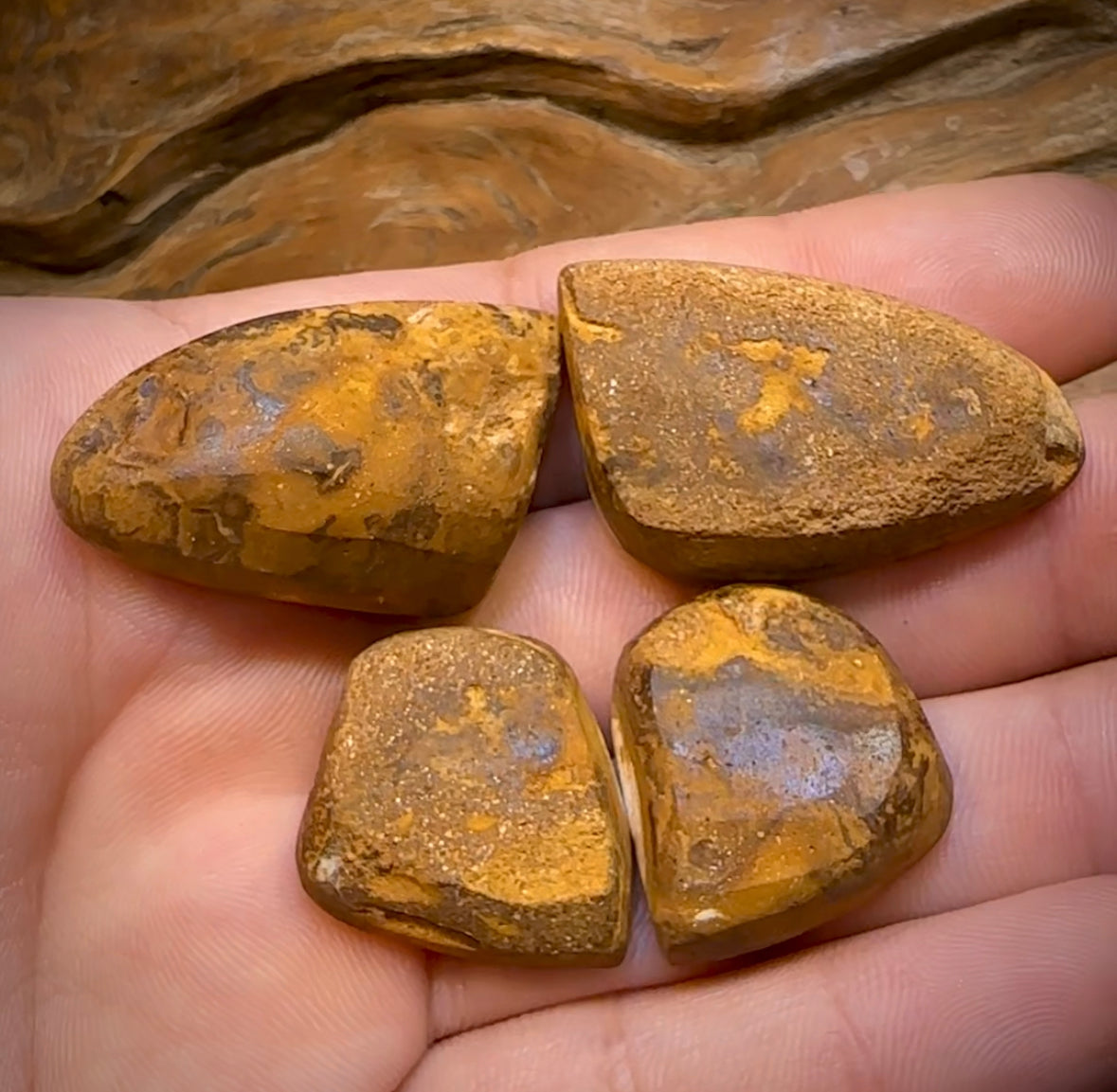 167.1cts - ‘Tiger Moth’ Yowah Nut Crystal Centre Opal Twin Pair - Opal Whisperers