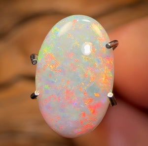 1.4cts - Lightning Ridge Dark Opal BARGAIN