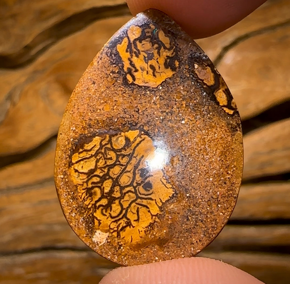 39.1cts - Yowah Nut Crystal Centre Opal. Australian Boulder Opal