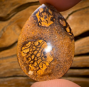 39.1cts - Yowah Nut Crystal Centre Opal. Australian Boulder Opal