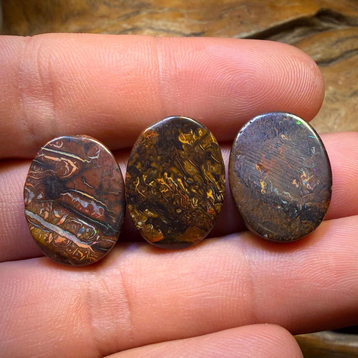 53.5cts - 3x Australian Tribal Boulder Opal’s. Wholesale Parcel