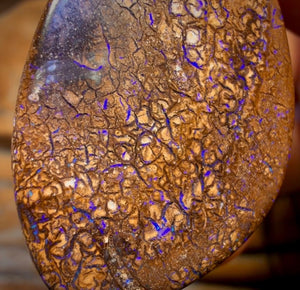 36 x 22mm - Drilled Queensland Boulder Opal Necklace