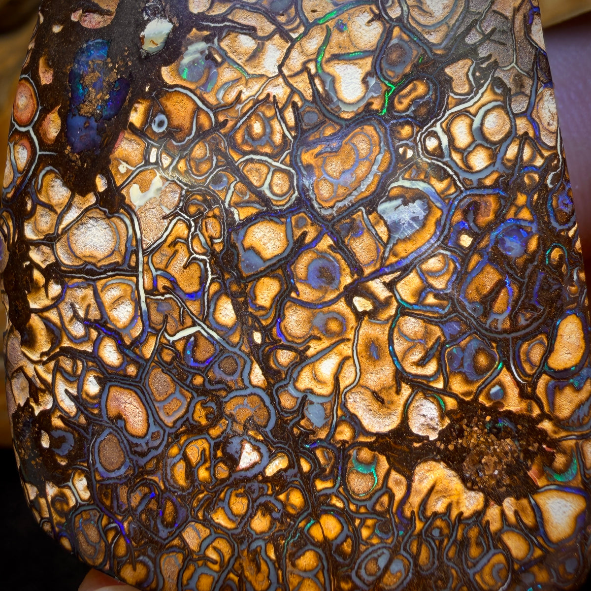 412.5cts - BIG Tan Tribal Australian Boulder Opal from Yowah