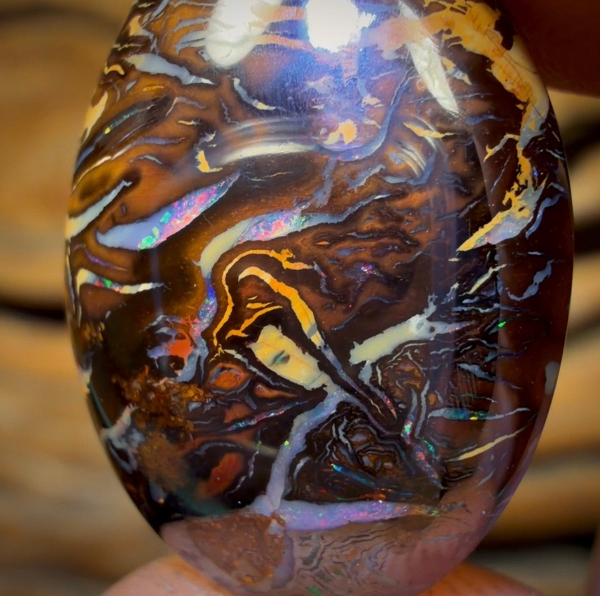 14.6cts - Top Tribal Queensland Boulder Opal from Koroit