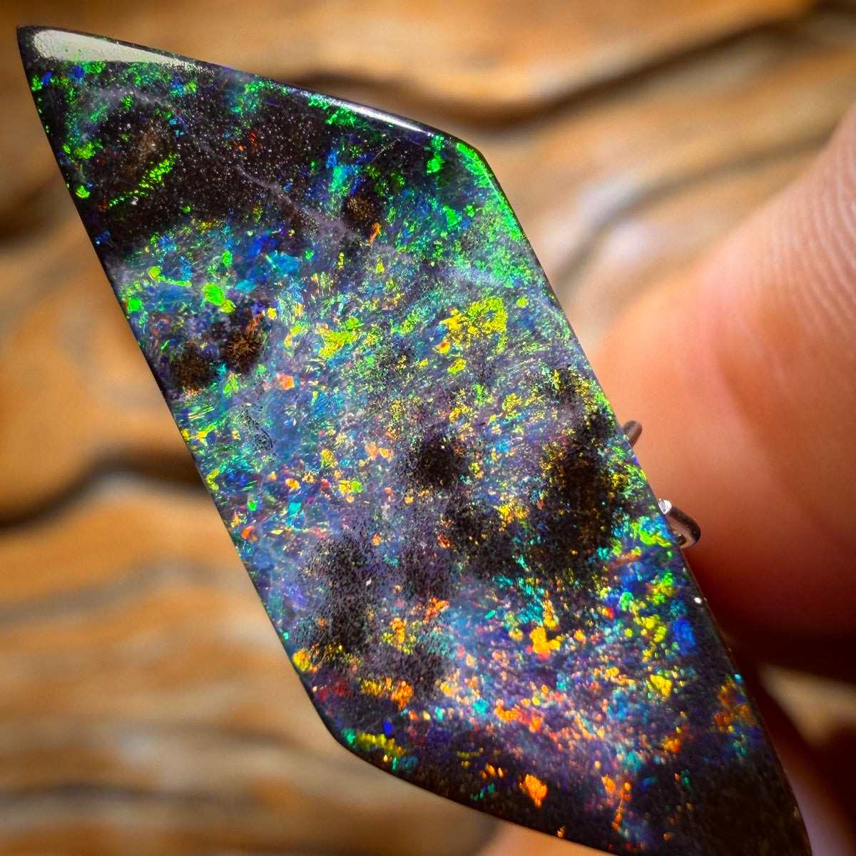 “Set in Stone” - Private Collector Investment - 10.9cts - Top Australian Boulder Seam Opal