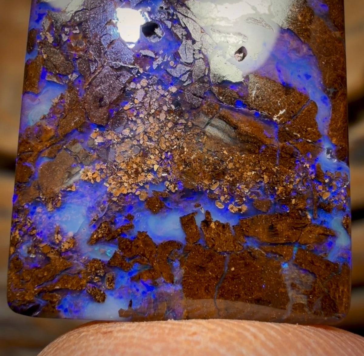 49.4cts - Queensland Boulder Opal from Yowah