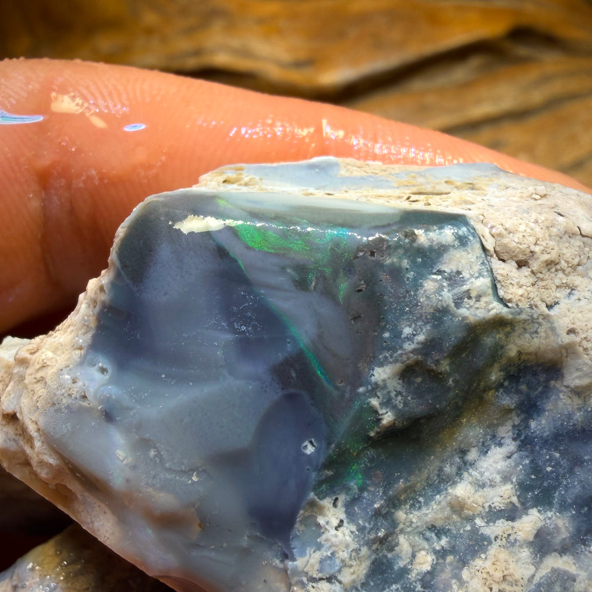 263.5cts - 3x Lightning Ridge Opal Rough Parcel
