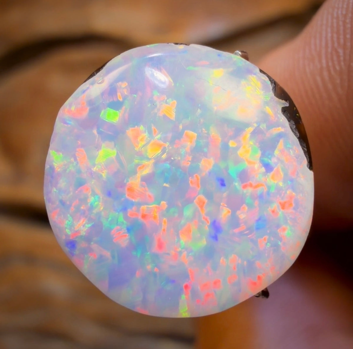 7.85cts - GEM Yowah Nut Crystal Centre Opal