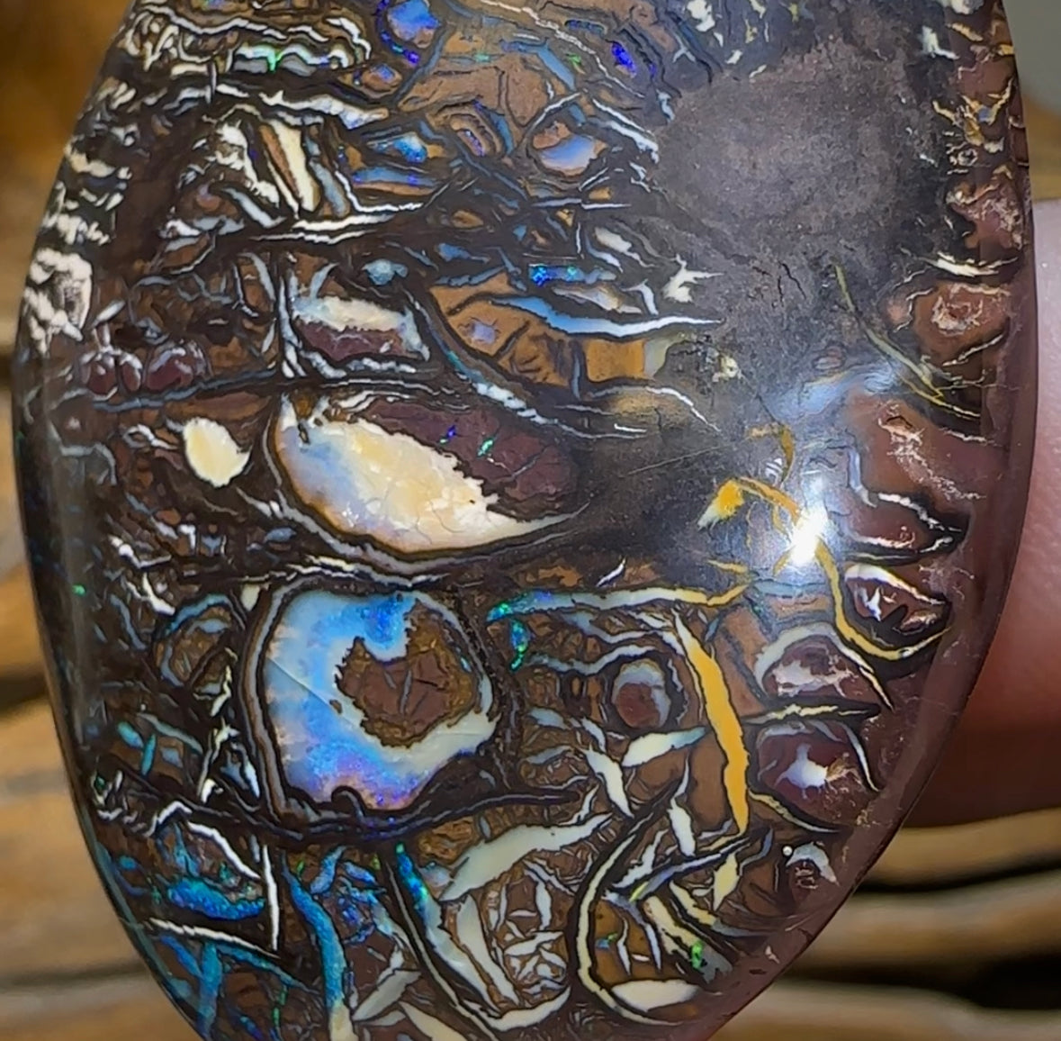 243.3cts - Top Tribal Art Australian Boulder Opal Specimen Polished - Opal Whisperers