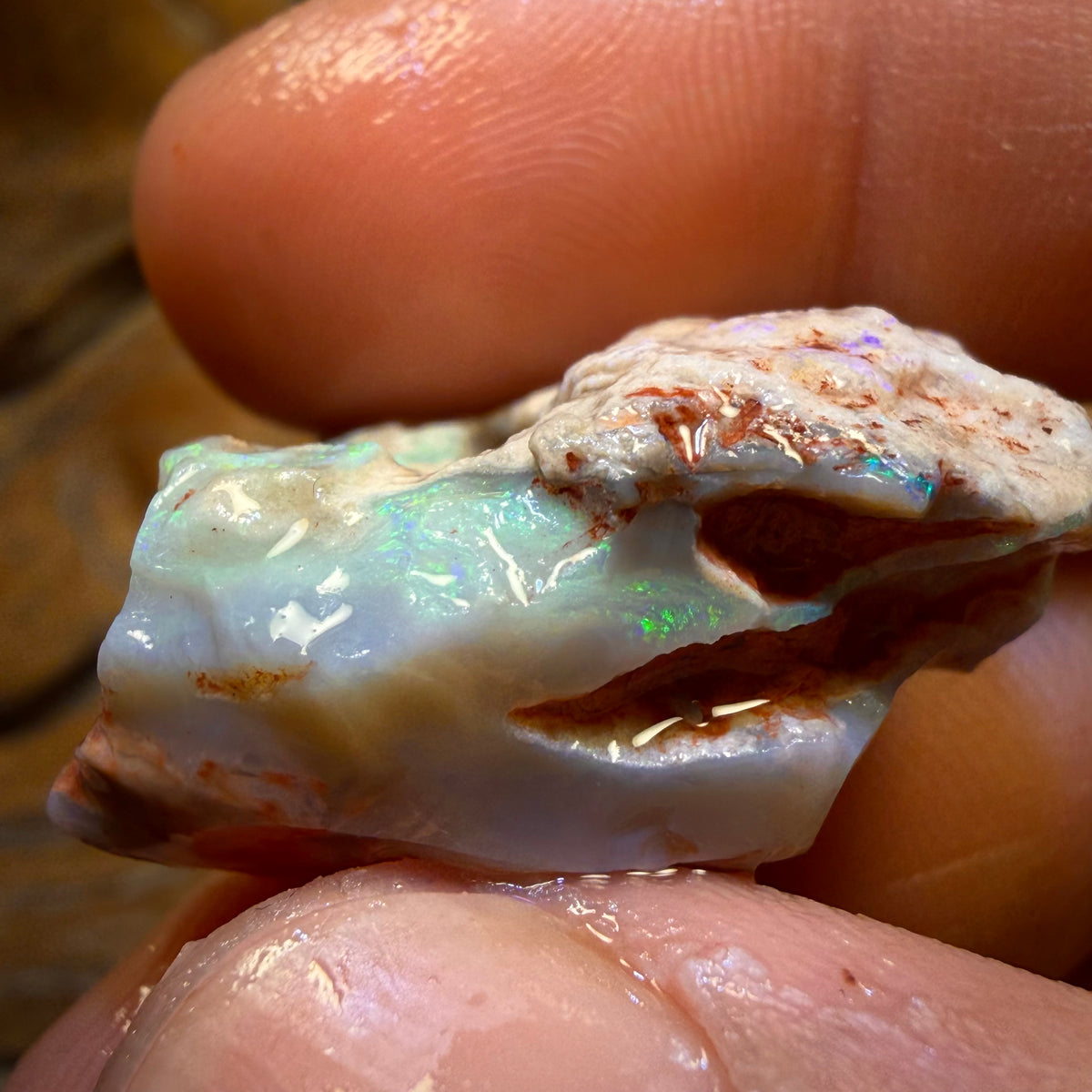 Wild Card! 69.9cts - Lightning Ridge Dark Opal Rough Piece